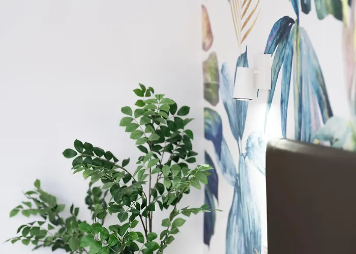 فالنسيا 2* لاس بالماس دي غران كاناريا